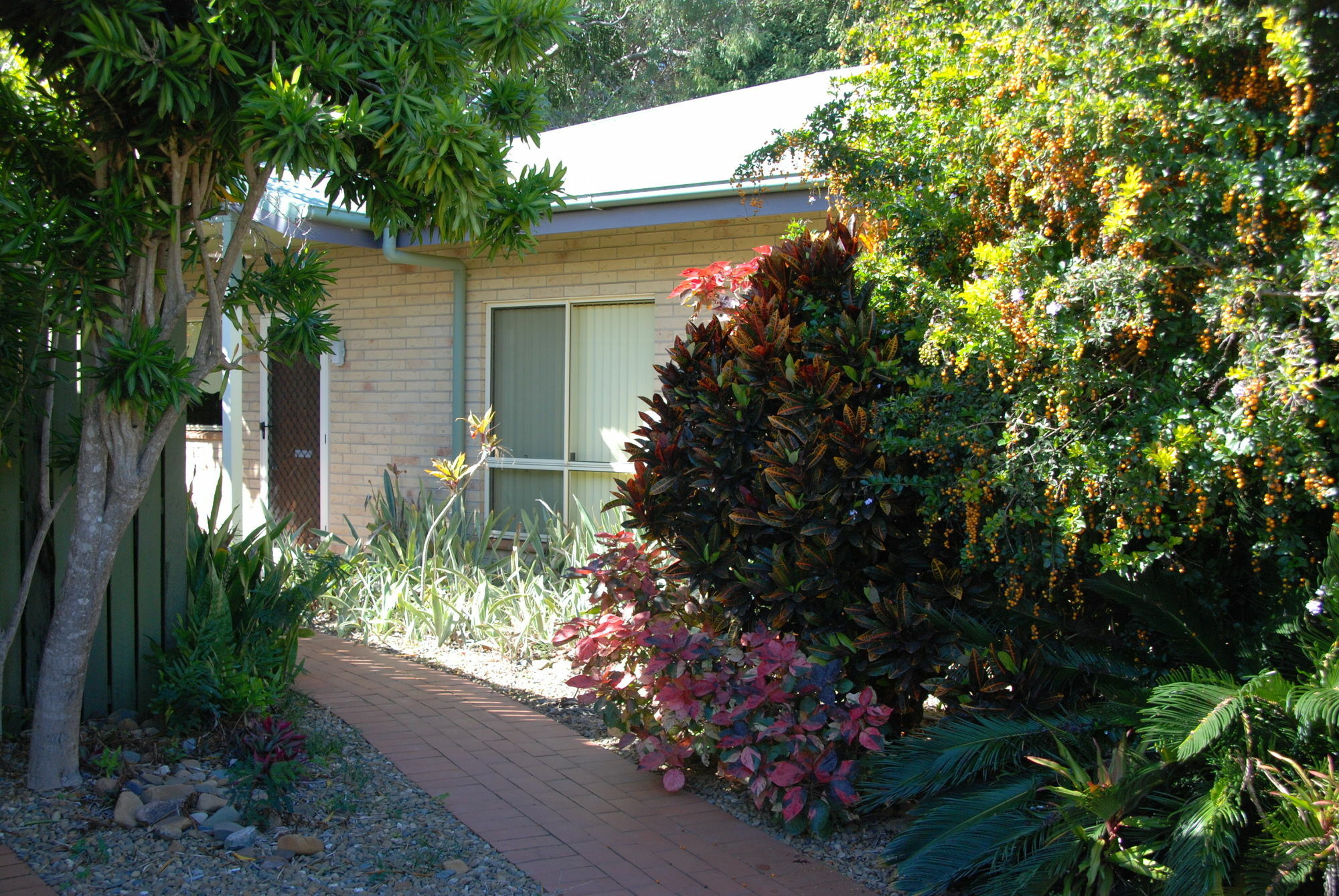 Agnes Palms Motel Agnes Water Exterior foto